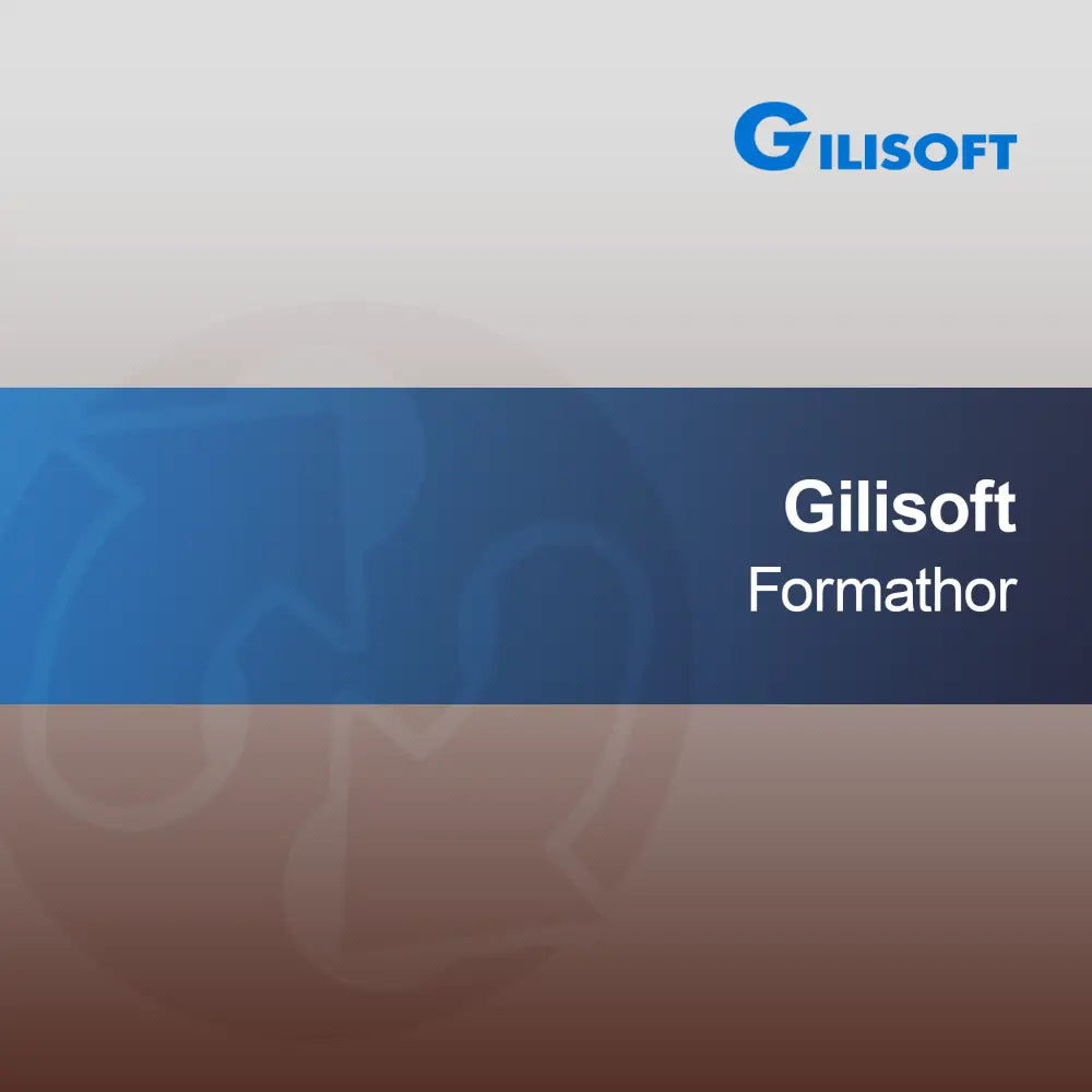 Gilisoft Formathor