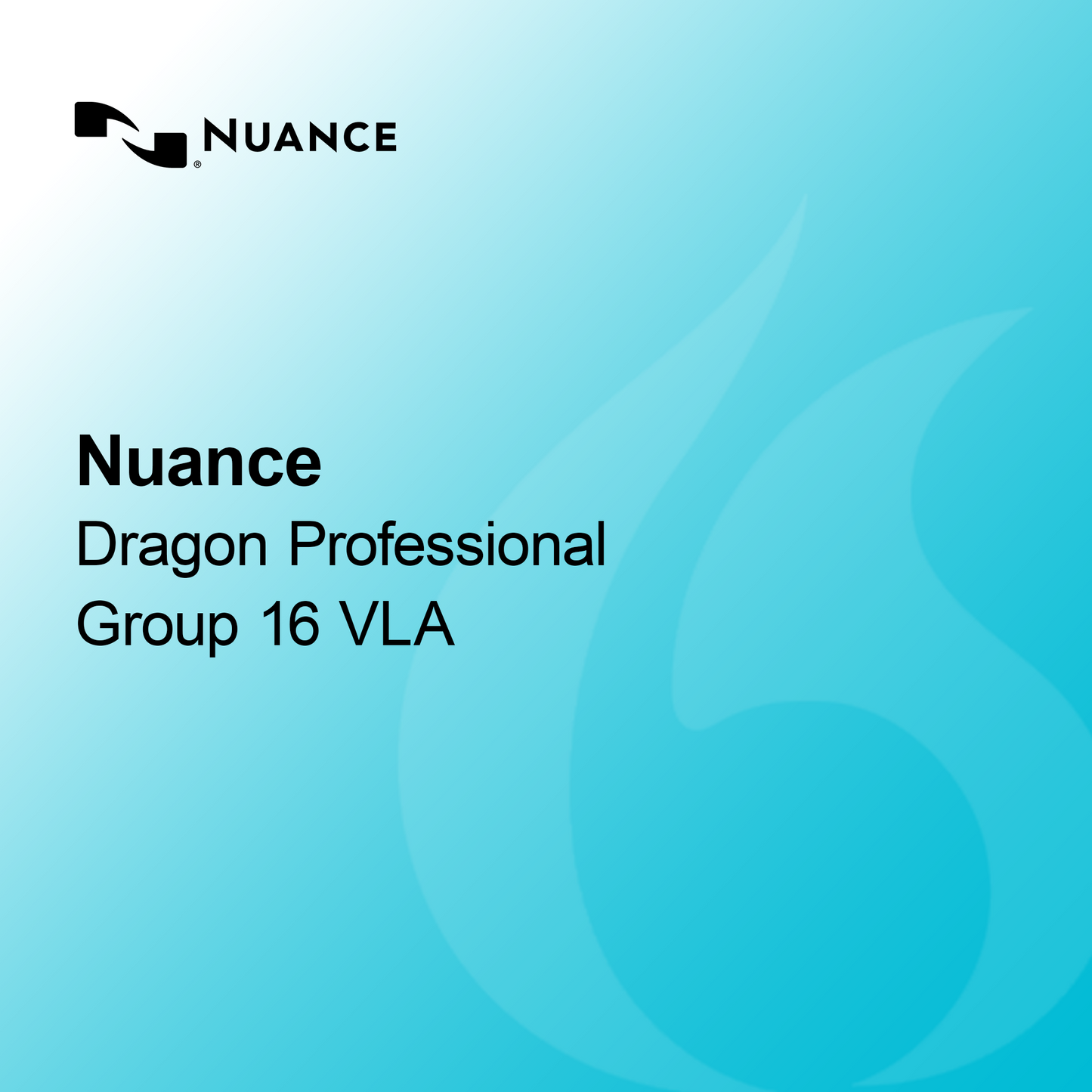 Nuance Dragon Profesional Grupo 16 VLA