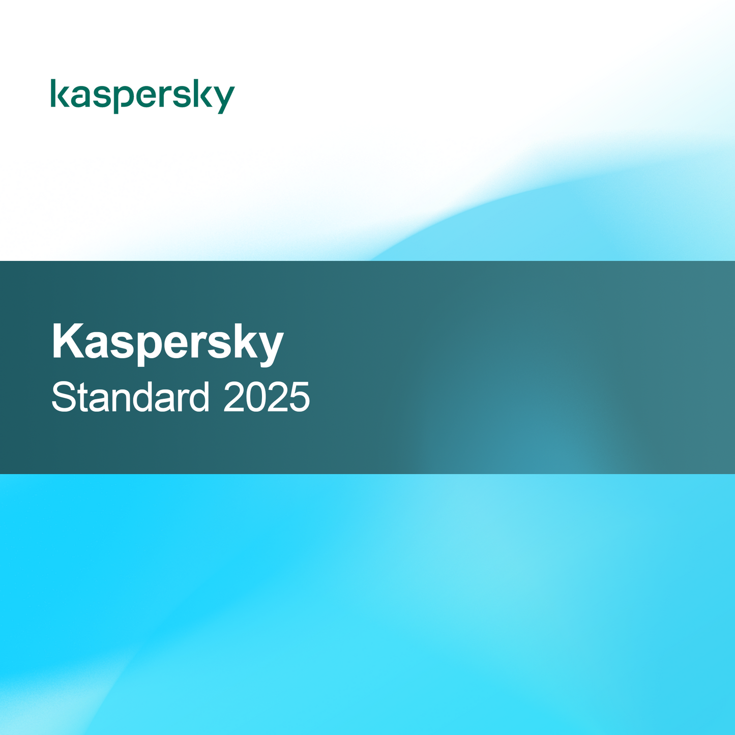 Kaspersky Standard 2025